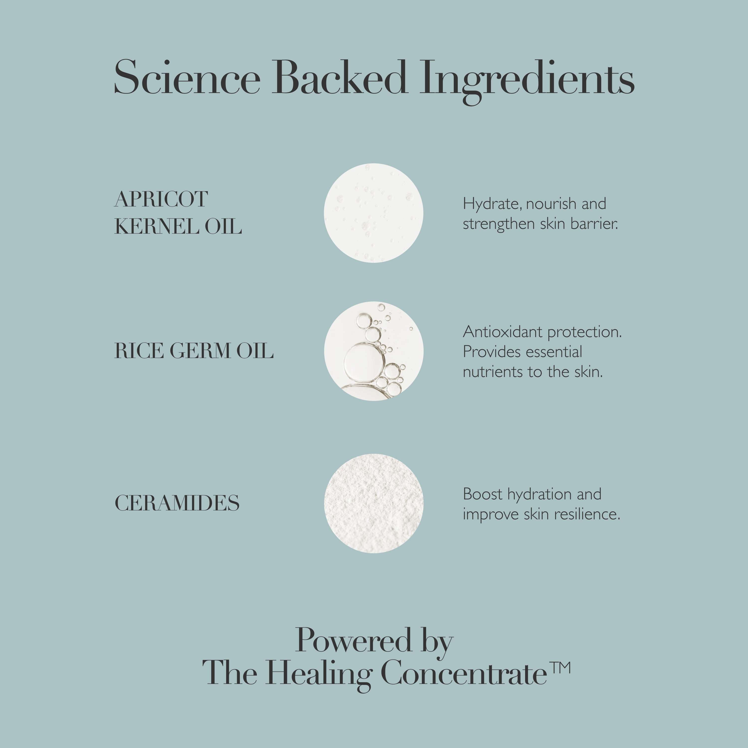 Body Cream – Omorovicza