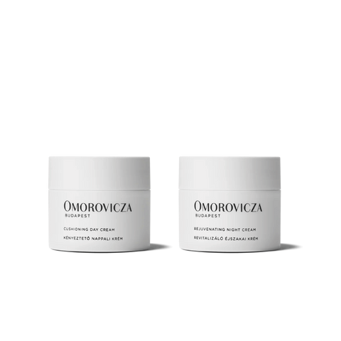 Day to Night Discovery Duo