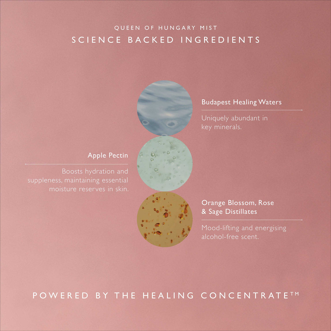 Queen of Hungary Mist