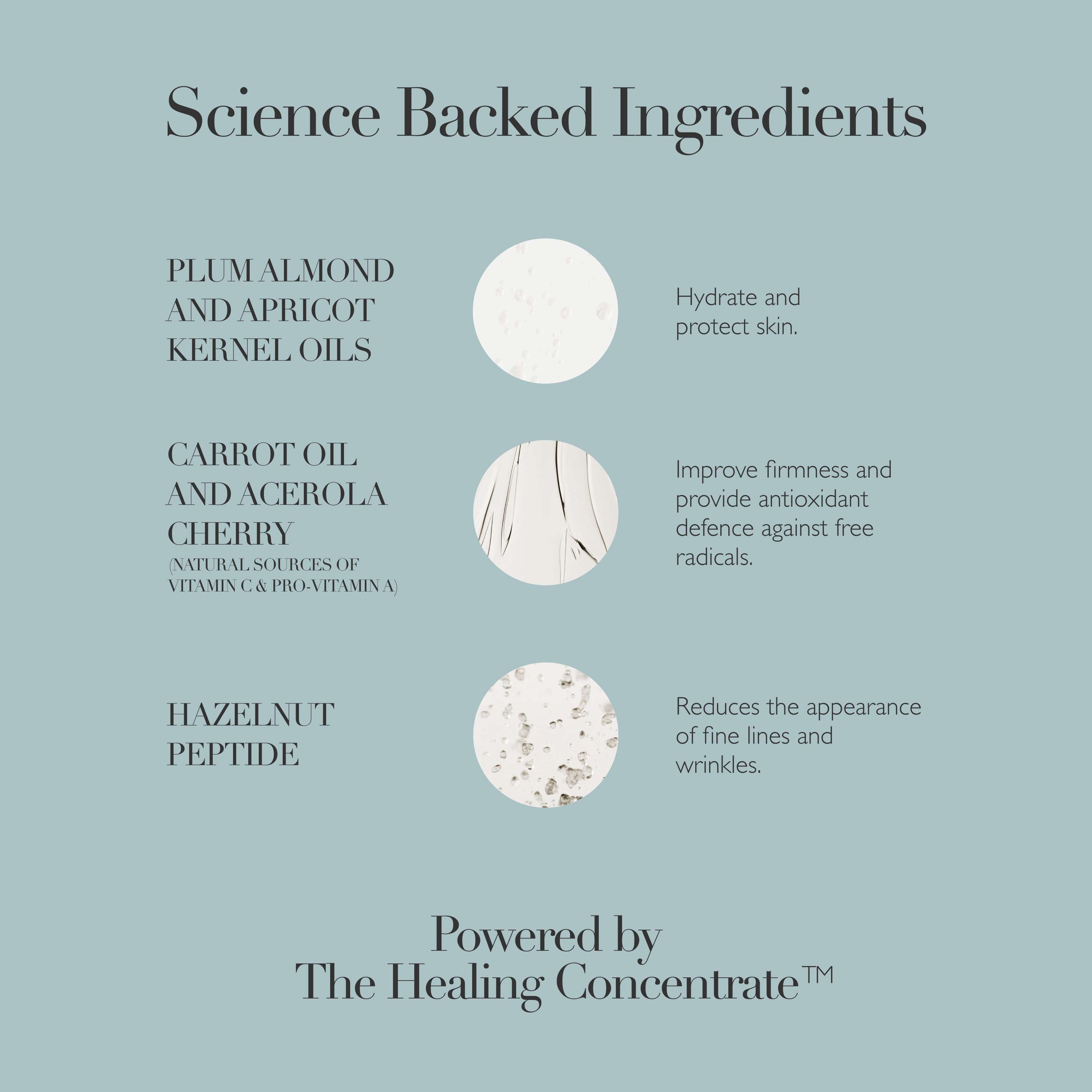 Rejuvenating Night Cream – Omorovicza