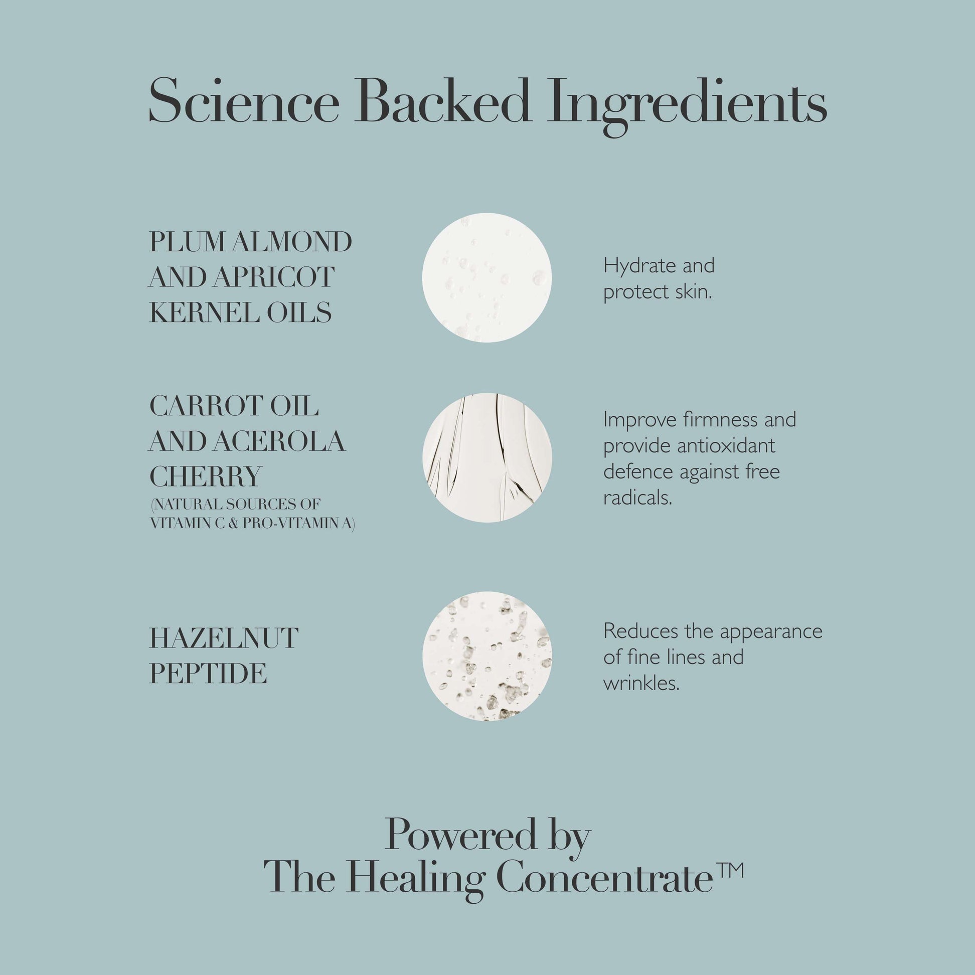 Rejuvenating Night Cream